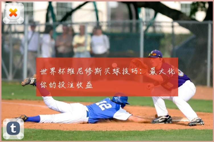 世界杯维尼修斯买球技巧：最大化你的投注收益