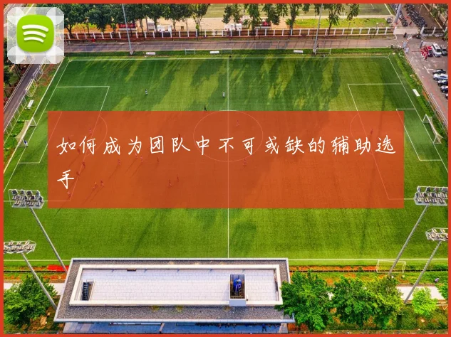 如何成为团队中不可或缺的辅助选手