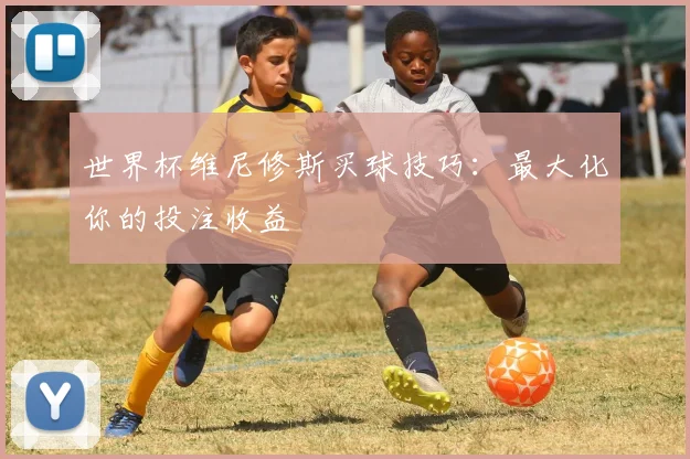 世界杯维尼修斯买球技巧：最大化你的投注收益