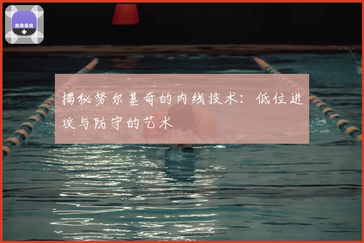 揭秘努尔基奇的内线技术：低位进攻与防守的艺术
